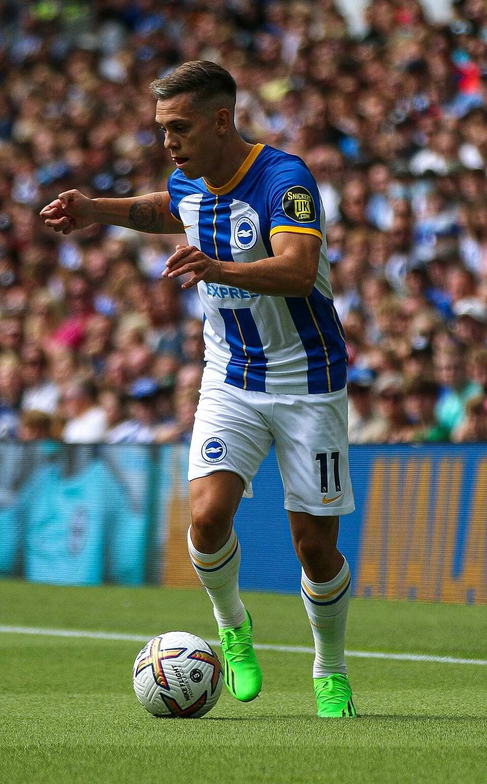 Leandro Trossard playing football in a Brighton and Hove Albion kit during a match