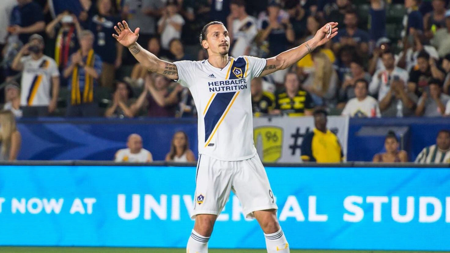 Net Worth of Zlatan Ibrahimović: Estimate and Breakdown